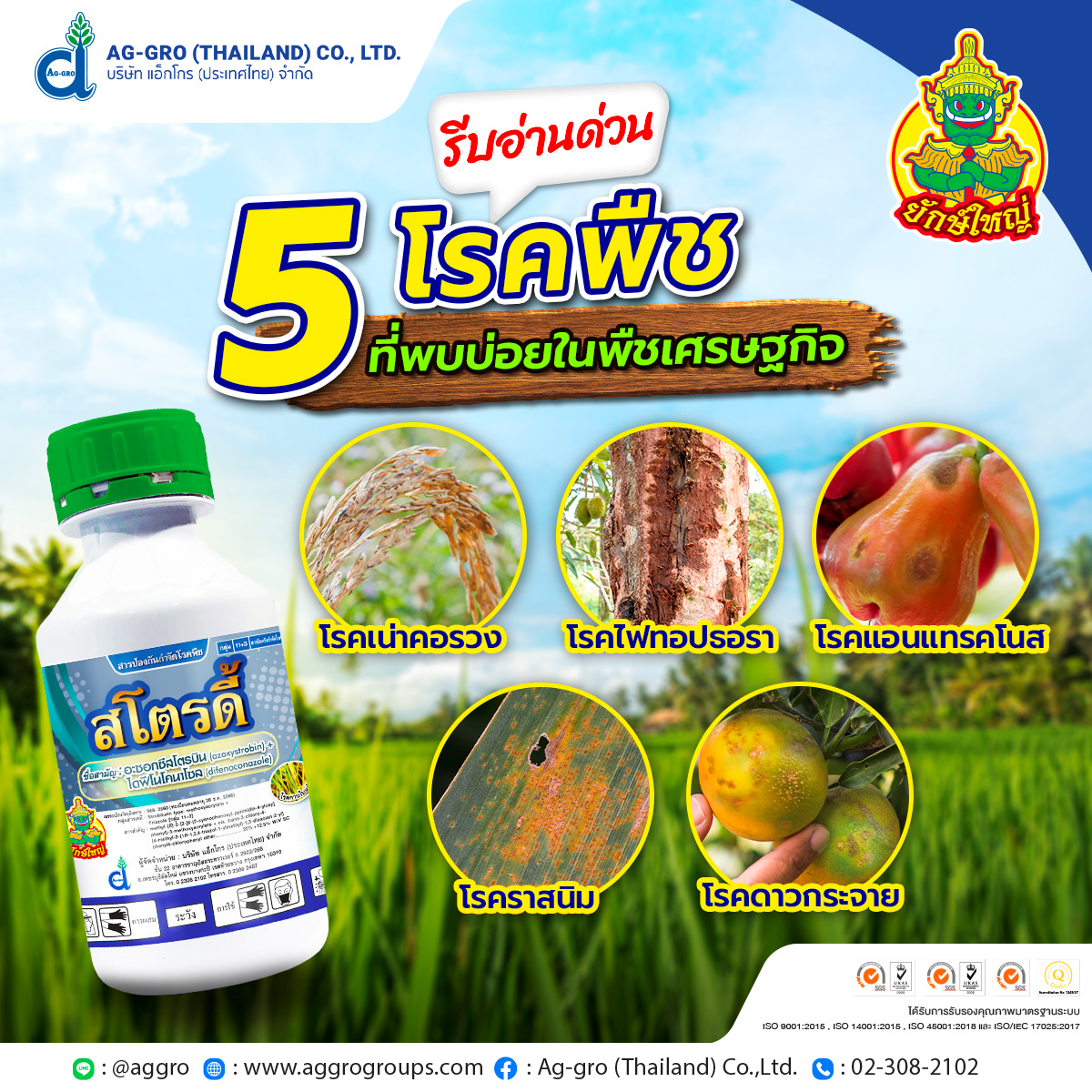 5 โรคพบบ่อยในพืชเศรษฐกิจ