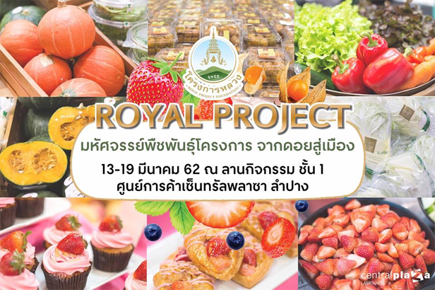 งาน Royal Project - มหัศจรรย์พืชพันธุ์โครงการหลวง จากดอยสู่เมือง