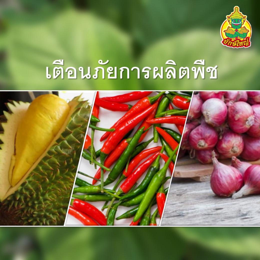 กรมวิชาการเกษตรแจ้งเตือนภัย