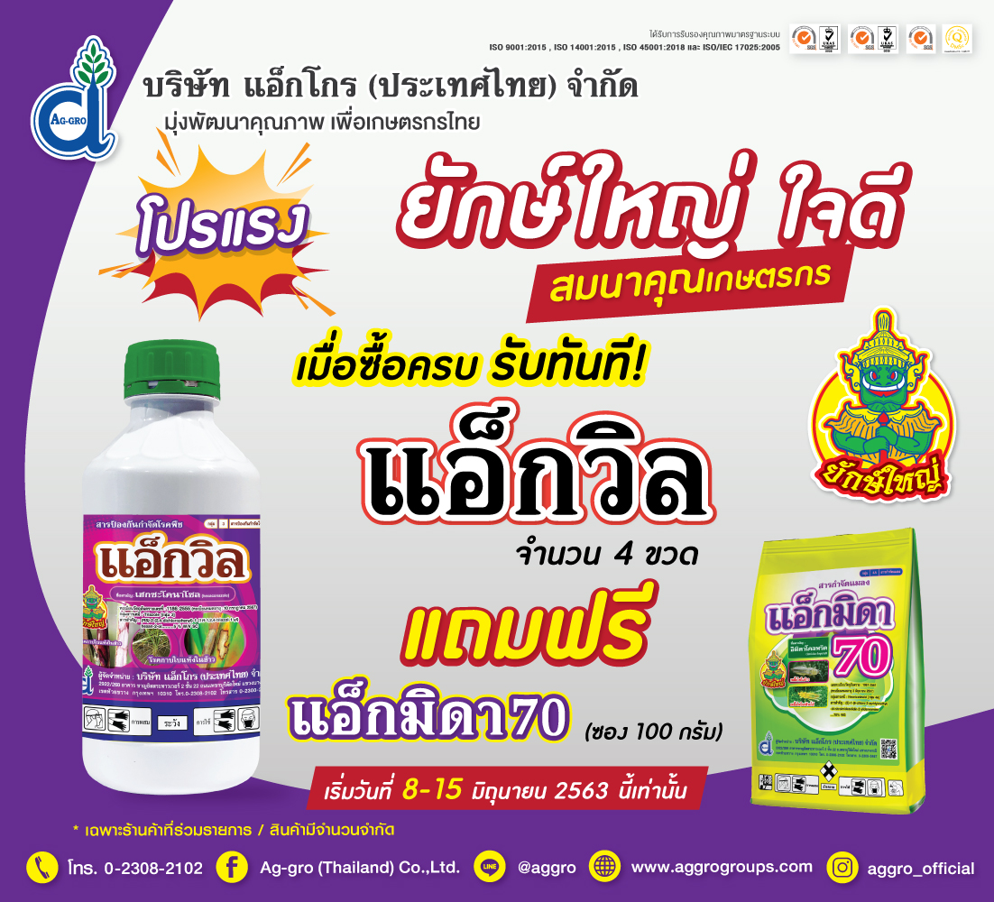 โปรโมชั่นพิเศษ! ยักษ์ใหญใจดีสมนาคุณเกษตรกร