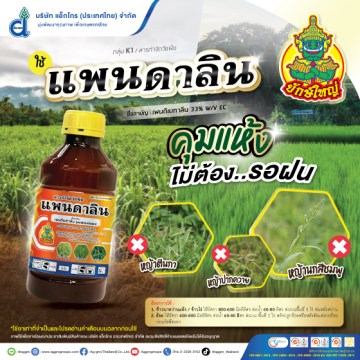 แพนดาลิน
