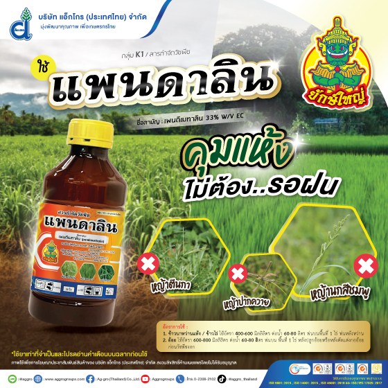 แพนดาลิน