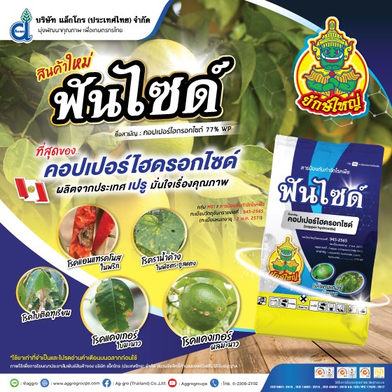 ฟันไซด์