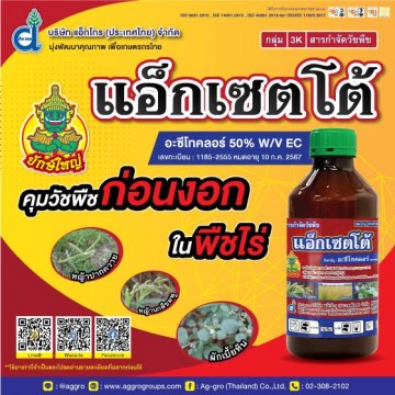 แอ็กเซตโต้