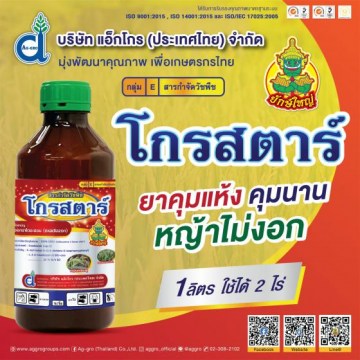 โกรสตาร์